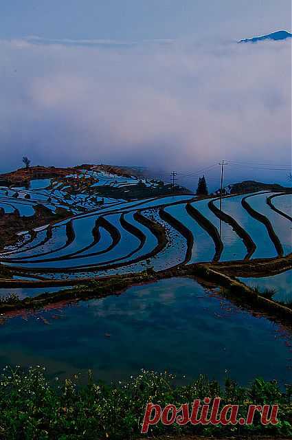 Рисовые поля, Китай
Terraced rice fields, Kunming, China | Travel: Orient