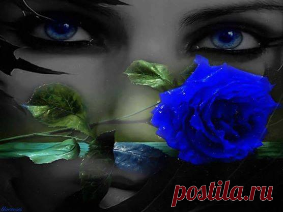 Молитва Франсуа Вийон

Пока Земля еще вертится, пока еще ярок свет,
Господи, дай же ты каждому, чего у него нет:
мудрому дай голову, трусливому дай коня,
дай счастливому денег... И не забудь про меня.
Пока Земля еще вертится, Господи, — твоя власть! —
дай рвущемуся к власти навластвоваться всласть,
дай передышку щедрому хоть до исхода дня.
Каину дай раскаянье... И не забудь про меня.
Я знаю: ты все умеешь, я верую в мудрость твою,
как верит солдат убитый, что он проживает в раю,