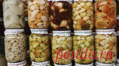 Диетолог Соломатина посоветовала несколько раз выварить грибы до консервации. Врач-диетолог Елена Соломатина рекомендовала несколько раз выварить грибы перед их консервацией. Читать далее