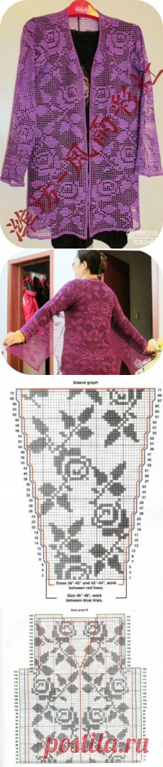 Без заголовка