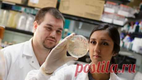 Глубоководные бактерии могут помочь нейтрализовать диоксид углерода - Экологический дайджест FacePla.net