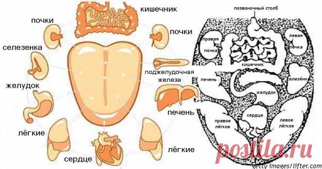 Новости - МирТесен