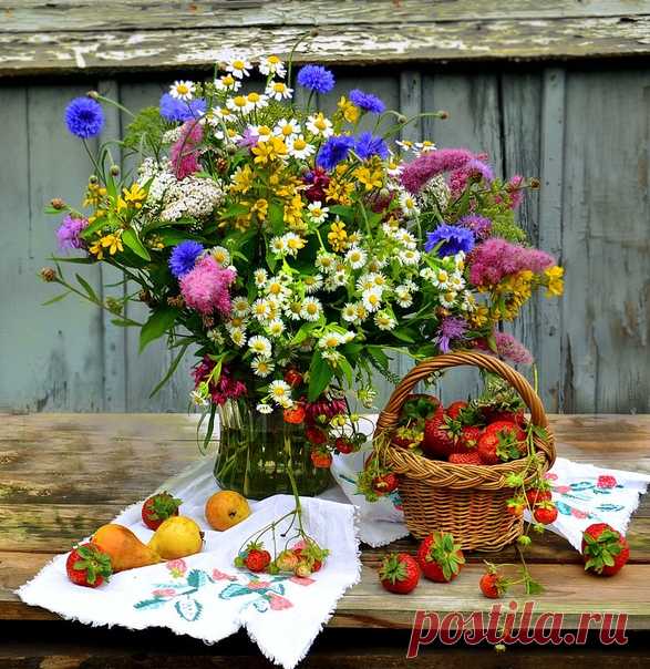 В ярком платье зеленого цвета,
В модной шляпке из трав и цветов,
В гости снова нагрянуло лето
С чемоданом волшебных даров:
Ягод вкус, полдень томный и жаркий,
Пенье птиц и ночей благодать -
Разбирайте скорее подарки,
Только лето их может нам дать!

© Copyright: Анна Уклеина,