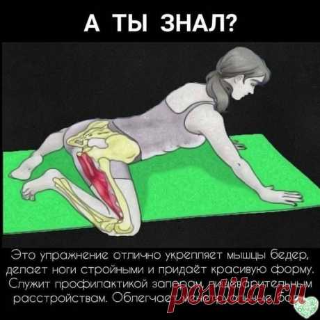 Мандукасана (поза Лягушки) требует большой осторожности и неторопливости.