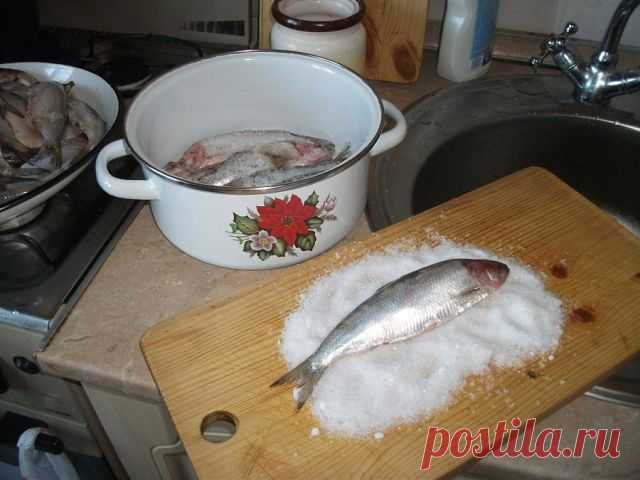 А какая получается вкуснятина… Больше никогда не покупаю магазинную соленую селедку!
Скажу вам более… этот рецепт великолепно подходит для засолки скумбрии и любой красной рыбы.

Ингредиенты
- сельдь – 1 кг;
- поваренная соль – 6 стол. ложки без горки;
- перец душистый горошком – 10 шт.;
- сахарный песок – 3 стол. ложки;
- лавровый лист – 3-4 шт.;
- вода – 1 литр.

Приготовление
1. Наливаем в кастрюлю воду и доводим ее до кипения.
2. Добавляем к воде сахарный песок, поваре...