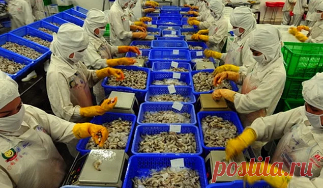 15 продуктов из Китая, которые вам лучше никогда не есть! - onedio.ru