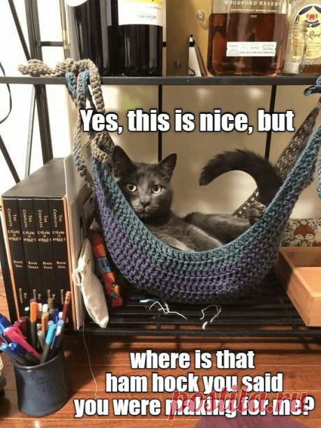 Вязаные кошачьи домики подборка / Для питомцев / ВТОРАЯ УЛИЦА