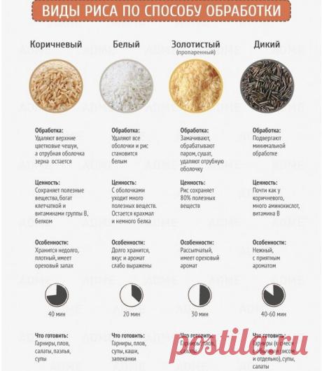 Правильное питание недорого: как похудеть экономно и быстро - дешевое здоровое меню на неделю | Кость широкая