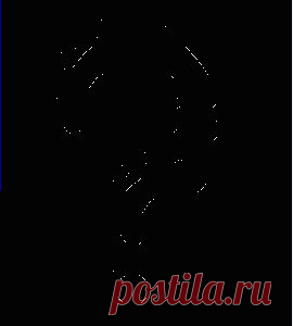 Мир внутри. Твои восемь чудес | Блог Клякса.ру