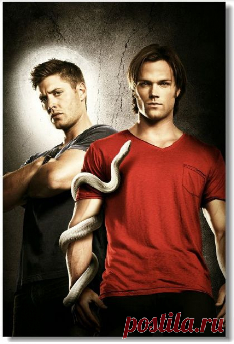 Купить сверхъестественное, supernatural - постер, афиша №8 по низкой цене
