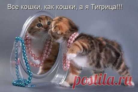 Интересные новости