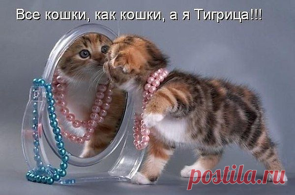 Интересные новости