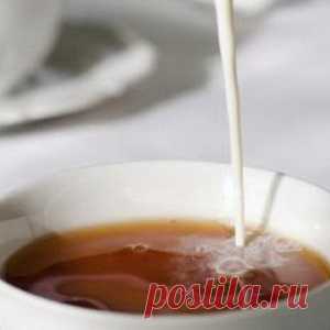 Чем полезен зеленый чай с молоком? - МирТесен