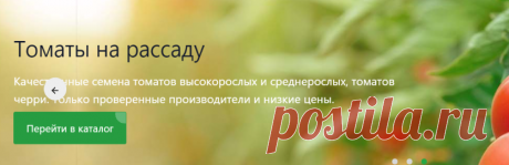 Интернет-магазин Семена на Яблочкова.