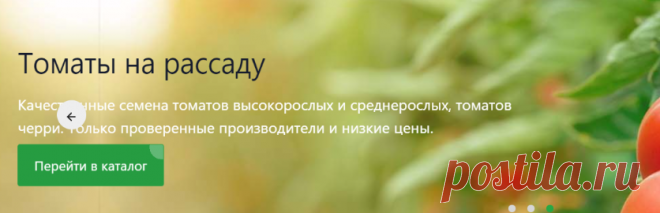 Интернет-магазин Семена на Яблочкова.