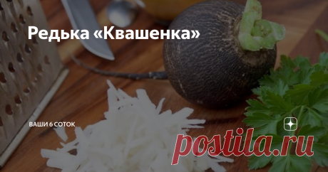 Редька «Квашенка» Для многих из нас привычна квашеная капуста, рецептов ее приготовления огромное количество, а вот квашеную редьку пробовали единицы.
Ингредиенты:
1 кг редьки черной, 1 ст. ложка соли, полстакана воды.
Приготовление: