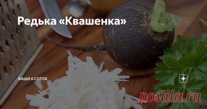 Редька «Квашенка» Для многих из нас привычна квашеная капуста, рецептов ее приготовления огромное количество, а вот квашеную редьку пробовали единицы.
Ингредиенты:
1 кг редьки черной, 1 ст. ложка соли, полстакана воды.
Приготовление: