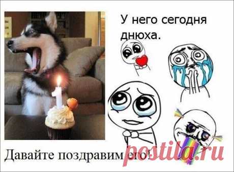 Поиск новостей