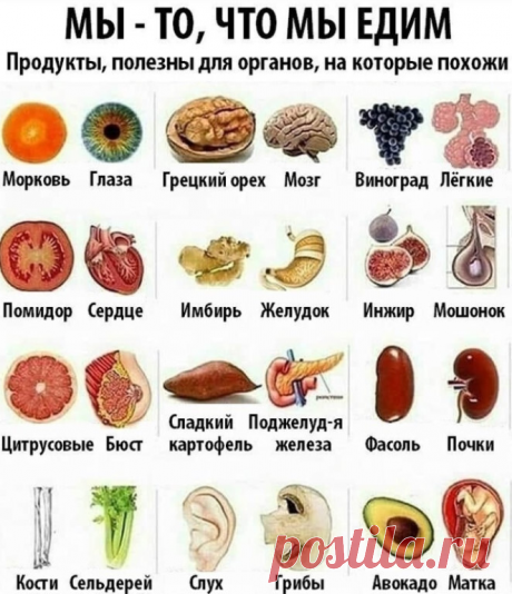 Без заголовка