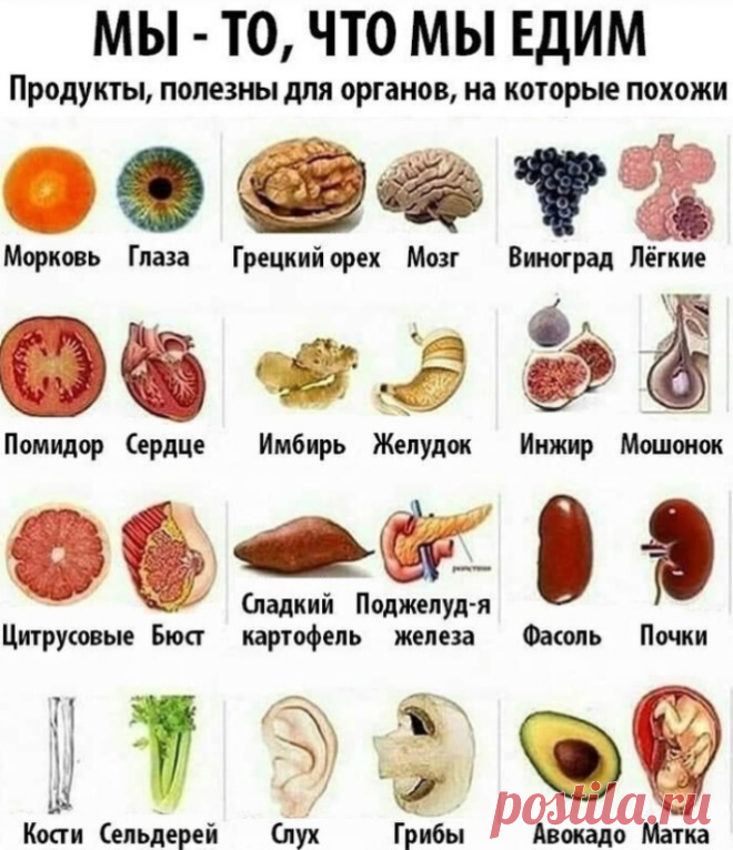 Без заголовка