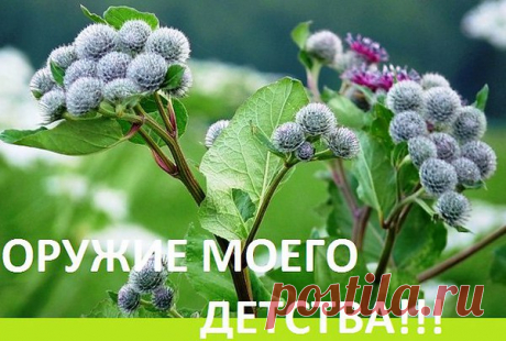 Пушок репейника - письмо из детства.
Как далеко…
Тропинка вьётся и начала уж не видно.
Пушок в ладони я возьму, дыханием согрев,
И отпущу на все четыре стороны.
Всплакну немного… Шутка ли - печаль?
Письмо из детства, через столько лет…
Я побежала бы за ним, а оглянулась - жаль!
Тропиночки назад уже и нет.
Инет