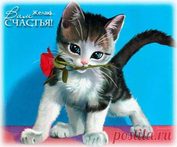 Интересные новости