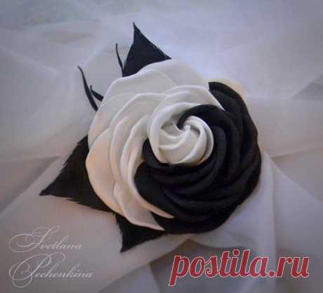 Светлана Печенкина