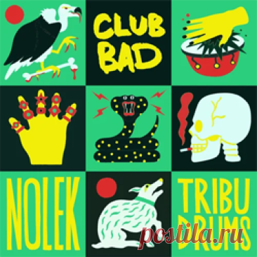 Nolek - Tribu Drums | 4DJsonline.com