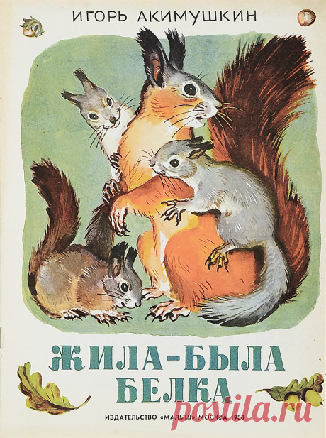 В книге рассказывается о том, зачем белка строит несколько гнёзд, сколько дней бельчата живут вместе с матерью, как зверьки прячут свои запасы и где обитают карликовые белки
