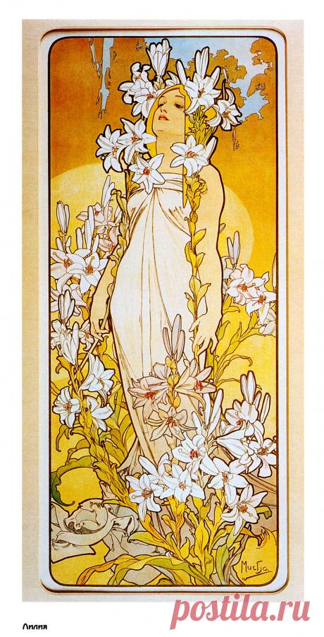 ЧЕШСКИЙ художник муха его картины: 16 тыс изображений найдено в Яндекс.Картинках