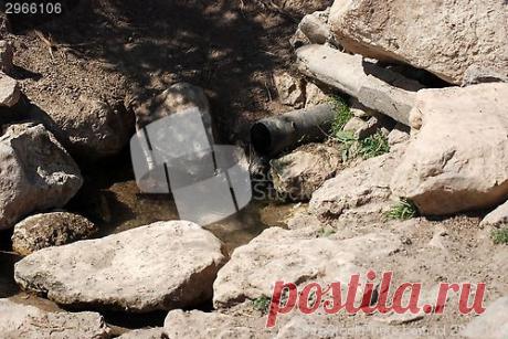 ScandinavianStockPhoto.com