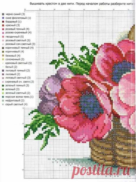 (13) Pinterest