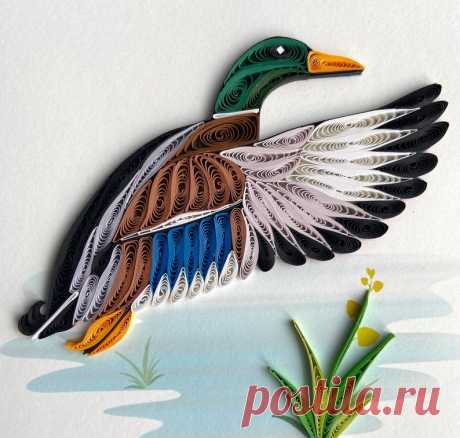 Duck Quilling Card | Etsy