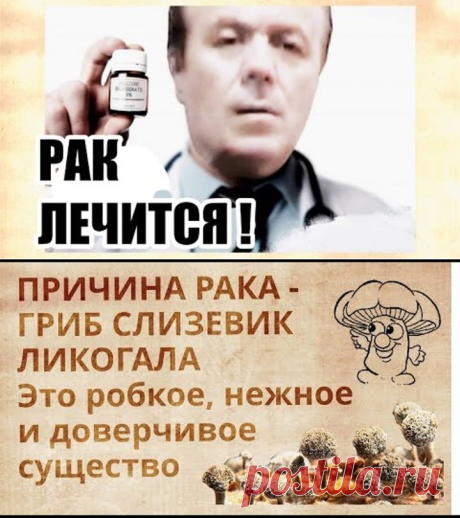 (2) Одноклассники
