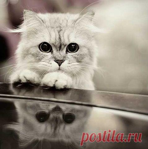 Вам и не снилось...
юлия кузьмина