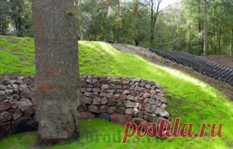 Георешетка - применение её на даче или загородном участке