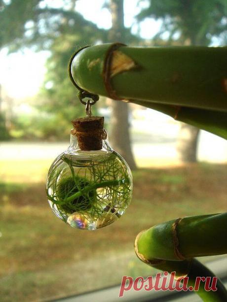 Миниатюрный аквариум как элемент декора