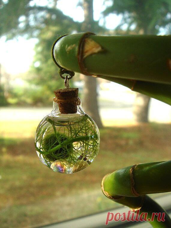 Миниатюрный аквариум как элемент декора