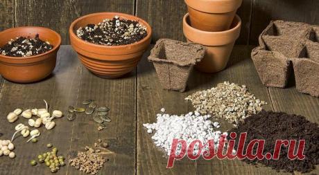 Перлит и вермикулит в чем разница