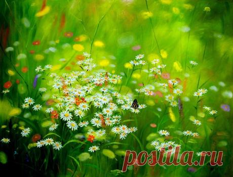 ИСЦЕЛЕНИЕ ПРИРОДОЙ..