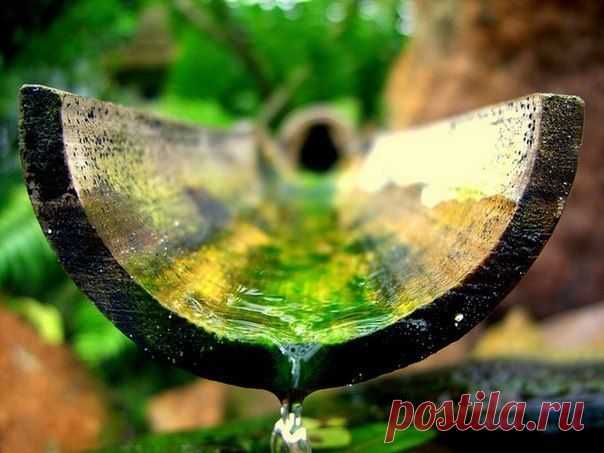 ОТ РЕЧИ ЗАВИСИТ ЗДОРОВЬЕ И МАТЕРИАЛЬНОЕ БЛАГОПОЛУЧИЕ!!! | В Тебе Есть Свет!