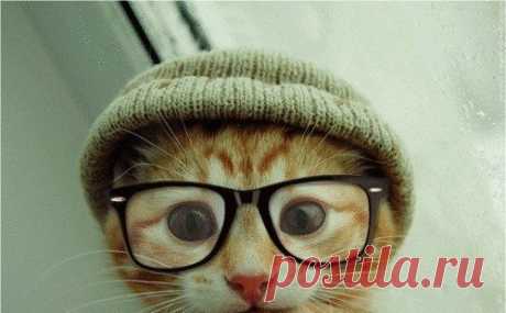 8 советов на каждый день для идеального зрения от офтальмологов | Я - Женщина