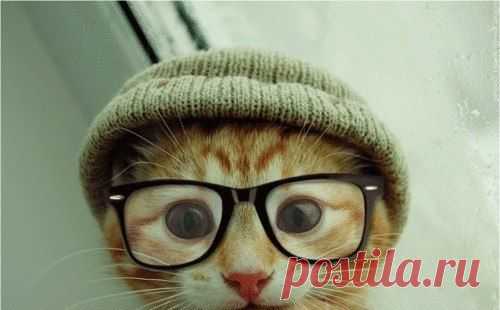 8 советов на каждый день для идеального зрения от офтальмологов | Я - Женщина