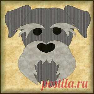 2009_Schnauzer by flavia_sm1963, via Flickr | Moldes coloridos