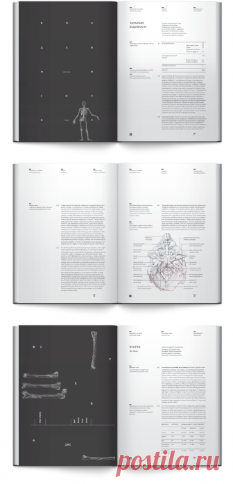 Anatomy book. Osteology on Behance