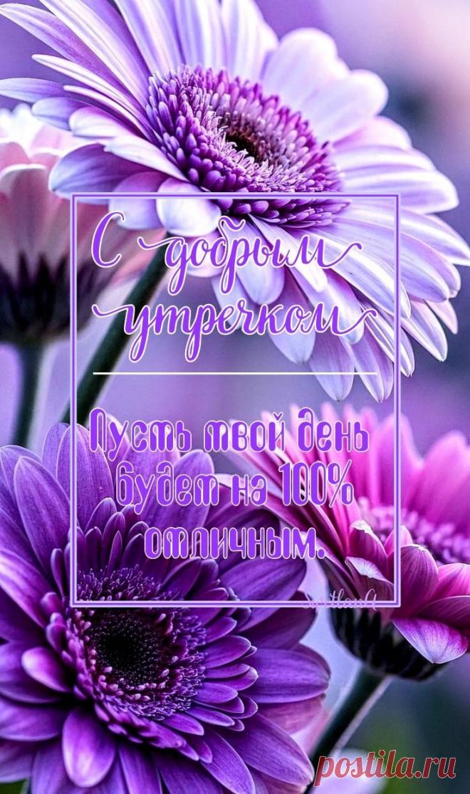 Доброе утро