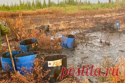 Названа площадь загрязнения нефтью реки в Коми. После аварии на предприятии «Нобель ойл» нефть оказалась разлита на пяти километрах реки Колвы в Коми. При разгерметизации нефтепровода жидкость сначала вылилась на почву, а затем по уклону местности попала в реку. В воде могло оказаться около тысячи кубометров нефти. Авария произошла 1 июля.