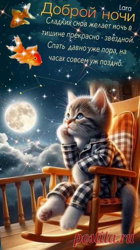 Доброй ночи, сладких снов
И тихой, мирной ночи.
Пускай приснится добрый сон,
Счастливым будет очень.