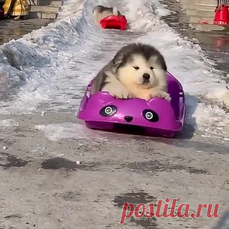 Мягкие комочки