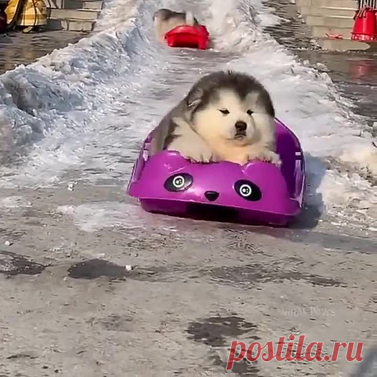 Мягкие комочки